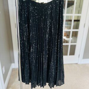 Banana Republic Sequin Skirt